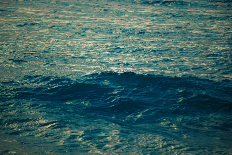 a large body of water with waves coming in